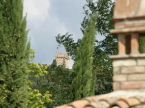 Giaggiolo Holiday Home