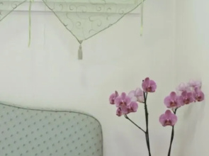 Appartamento Il Fiore - Rebomaholidays