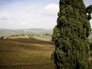 La Casa di Teresa B&B