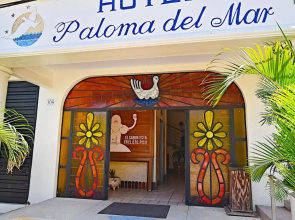 Paloma Del Mar