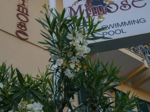 Hotel Delle Mimose