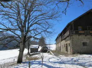 Ferienhaus Waldsicht