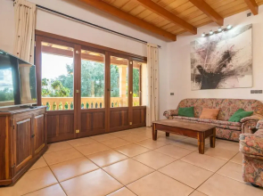 Can Berguins in Buger