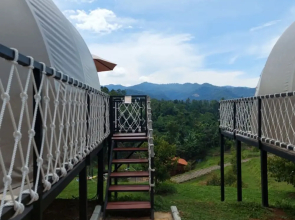 Dmangku Farm Serang