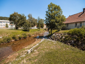 Apartment Irena