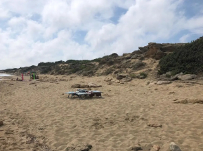 FICOMORO surf house