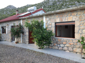 House Cestar