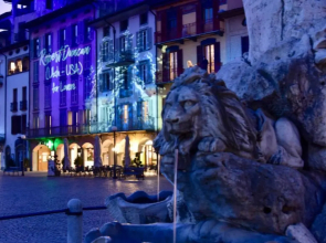 Stylish Lakefront House