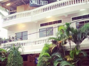 The Small Hotel