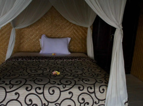 Dikaloha Medewi Surfcamp