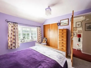 Host Stay Sandpipers