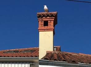 Apartment Port Next to the Beach