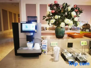 Vienna Hotel (Bachu Century Avenue Store)