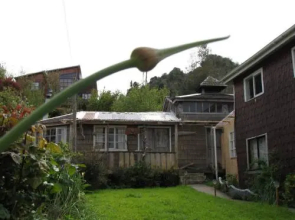 Hospedaje Mirella