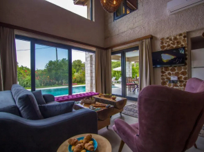 Volans Suites
