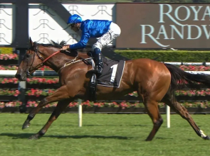 Rustic Hardwood 2 Bedroom Apartment in Randwick