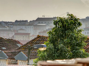Graça Terrace