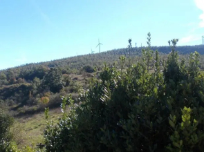 Podere la Vitalba