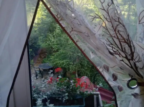 Apartament z ogrodem
