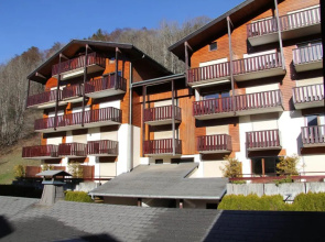 Appartement La Clusaz, 2 pièces, 6 personnes - FR-1-459-175