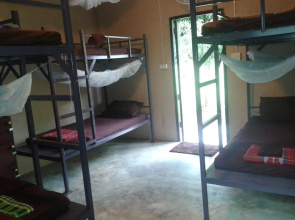 Purple Monkey Backpackers