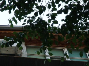Studio French Embassy