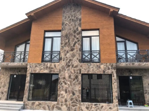 Bakuriani Cozy Villa #4