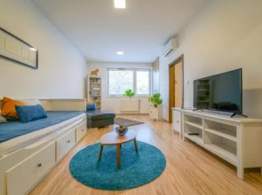 Vesna Convenient Apartment