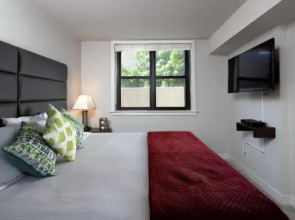 Stay Alfred at Varsity on K