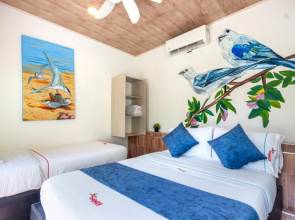 Chunuu Hostal y Glamping Minca