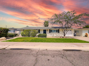 Hazelwood Scottsdale