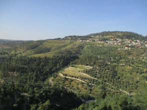 view haari