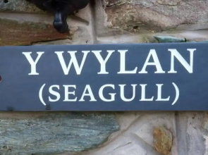 Y Wylan