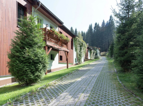 Apartment in Muldenhammer Near Ski Lift