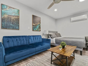 Stylish Studio Downtown Evonify
