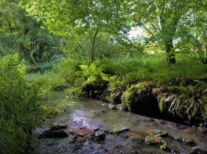 Ta Mill Cottages & Lodges - Brookview Lodge 2