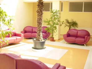 Hotel Bradul
