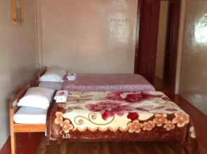 Holly Lodge Guest House