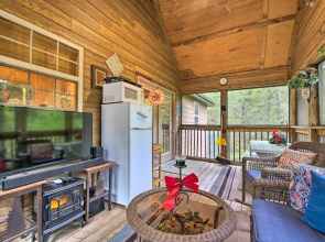 Resort Perks! Woodsy Family Retreat Near SDC