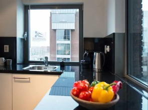 Apartment in Scheveningen With Harbor View