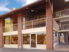 Wild Bear Inn