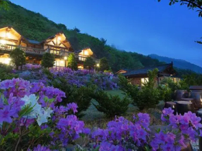 Pyeongchang Sonamu Hwangto Pension