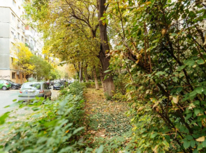 Woody - Cozy and Quiet Place near Moghioros Park