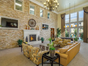 New Cozy Stylish 1BR With Heated Pool Relaxing Spa Sauna
