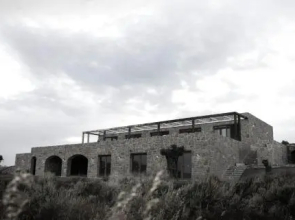 Datca Vineyard