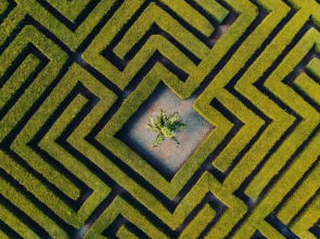 Penthouse whit Private Roof walking distance to Los Corales Beach