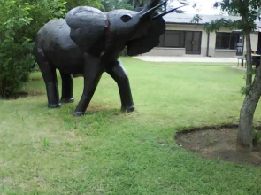 Elephant Lodge Guesthouse