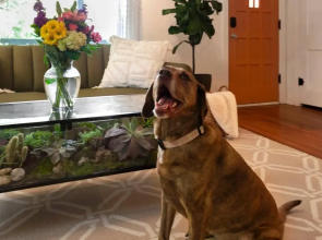 Gregg Greenhouse - 1 mi to U of A