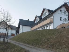 Apartments and rooms Tolc