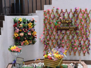 The Backpacker Station